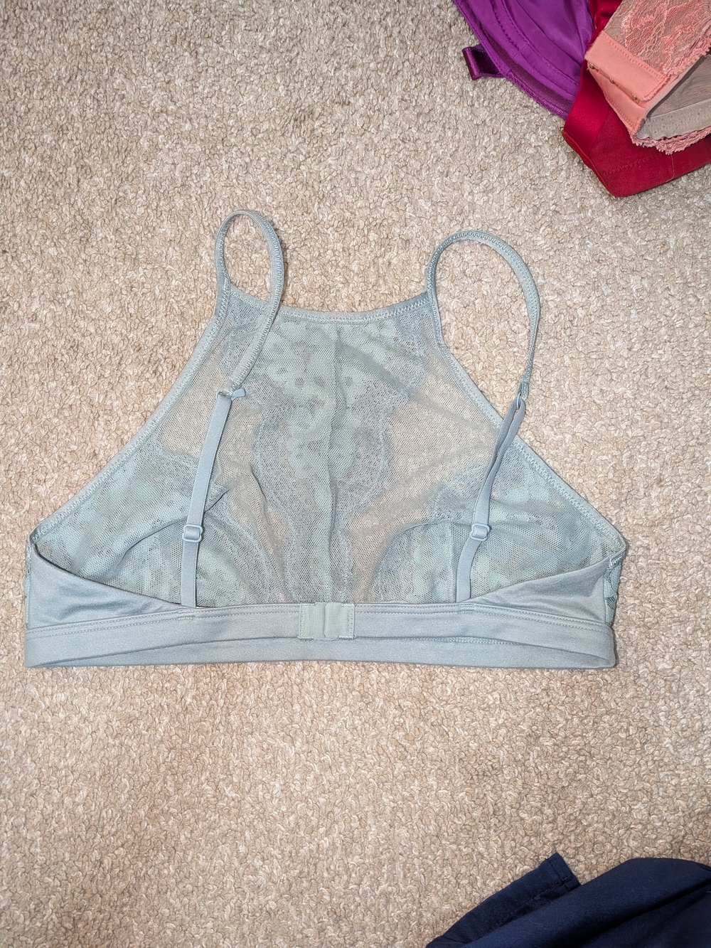 Sheer Lace High-Neck Bralette in Light Sage Green - Picture 2 of 3